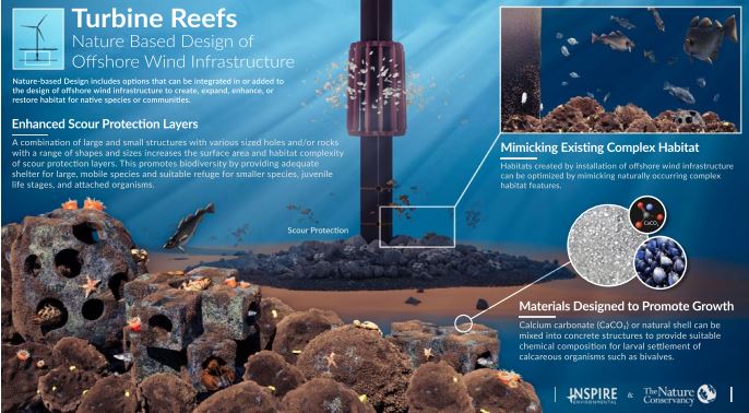 turbine reefs